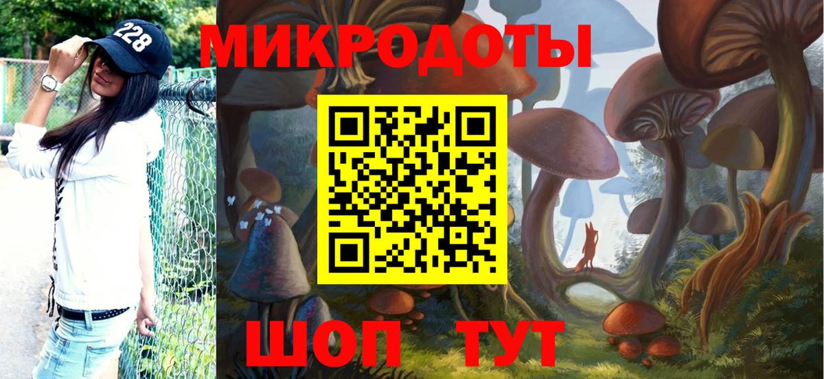 Казань  Псилоцибиновые грибы мицелий  Псилоцибиновые грибы GOLDEN TEACHER  Вход с VPN 