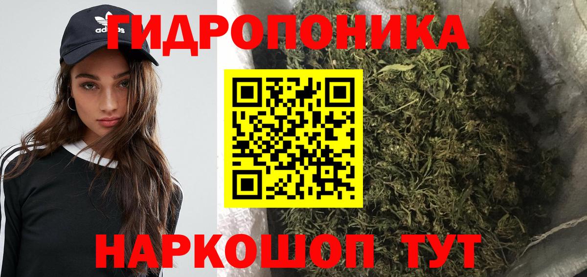 Каннабис индика  Бошки марихуана семена  Вход с VPN  Казань  Канабис AK-47 